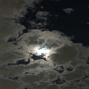 Meet your Posher, Sasha